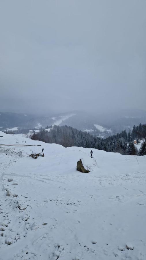 Rezydencja Nad Potoczkiem Visla Exteriér fotografie